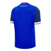 Maillot de Supporter Slovaquie Domicile 2024-25 Pour Homme